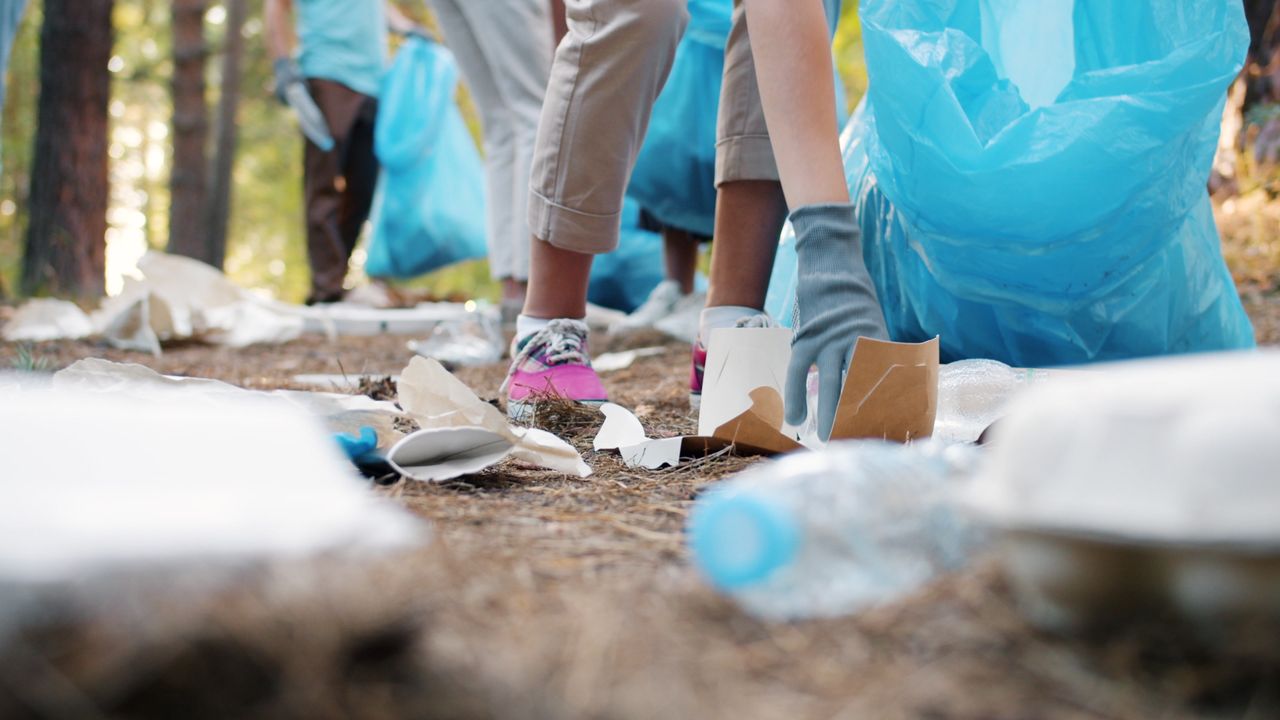 stats-img Volunteers cleaning forest area, picking up litter and sorting in bags.